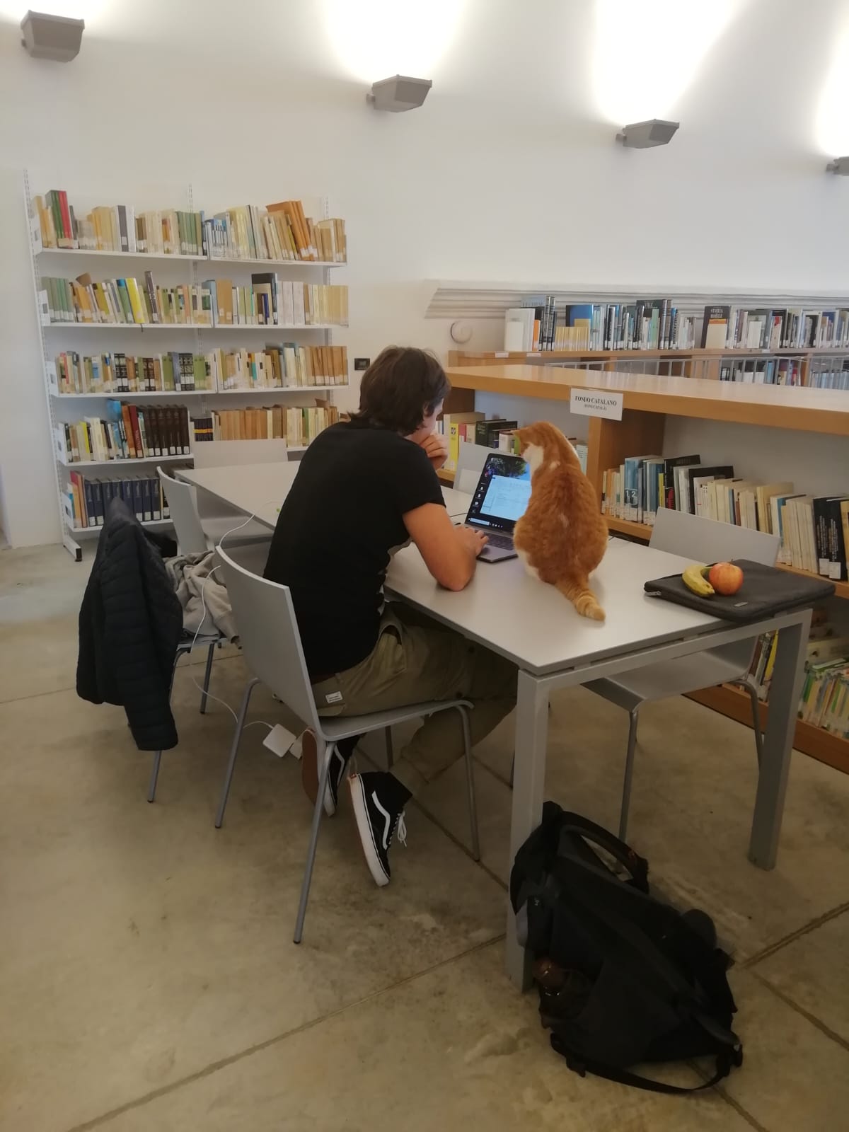 Biblioteca Architettura Alghero